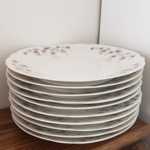 Altrohla Austria 10 Dinner Plates , 10 Salad plates ,4 Decorative plates . - Picture 7 of 13